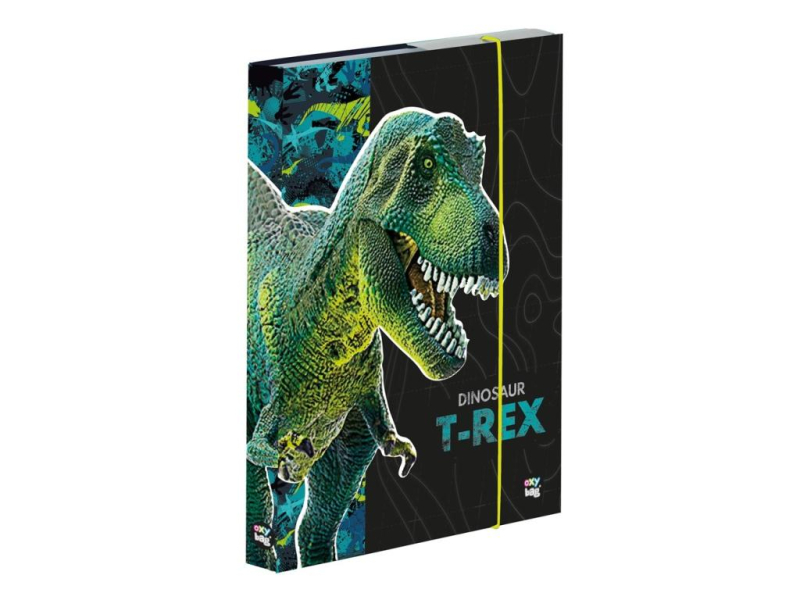 Školní box na sešity A4, Premium, Dinosaurus